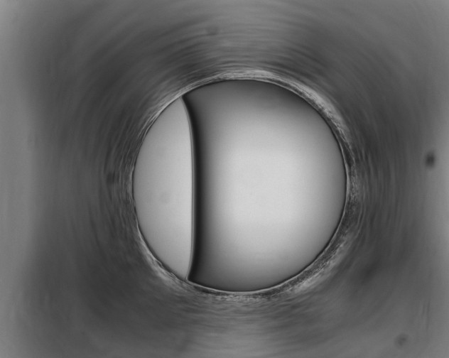 X0000098070905200804040724