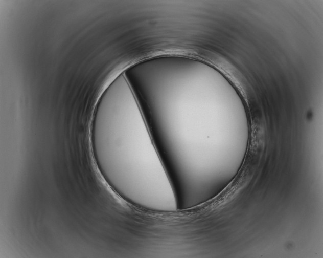 X0000098070906200804040724
