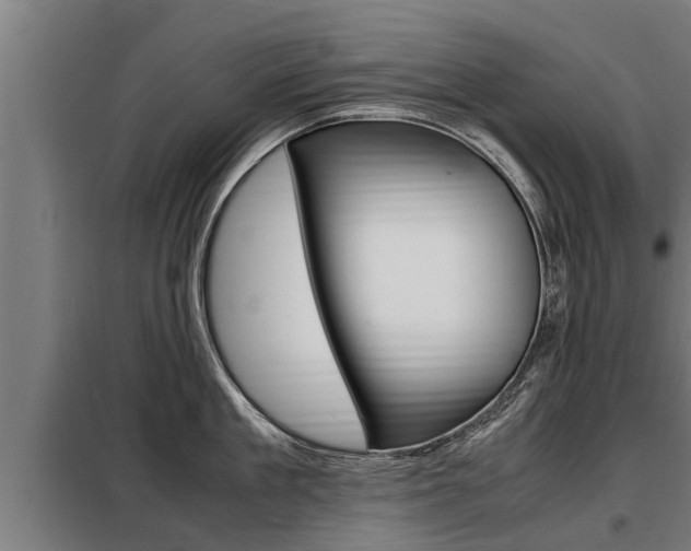 X0000098070909200804040724