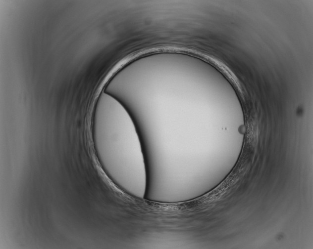 X0000098070911200804040724