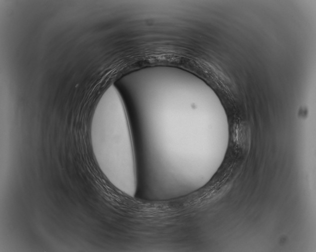 X0000098070915200804040724