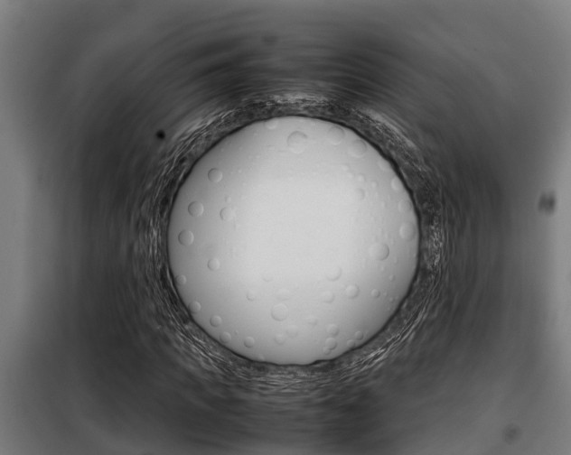 X0000098070917200804040724