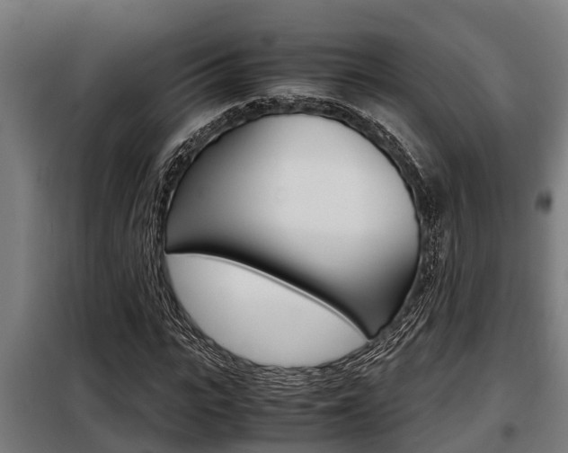X0000098070919200804040724