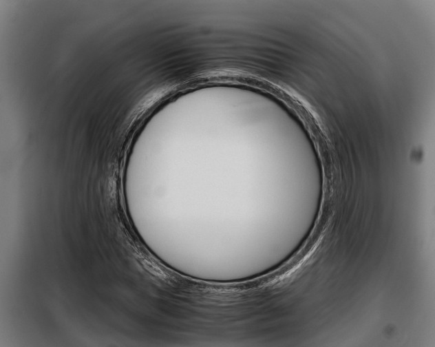 X0000098070921200804040724