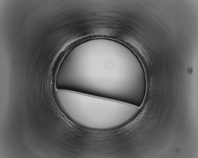 X0000098070923200804040724