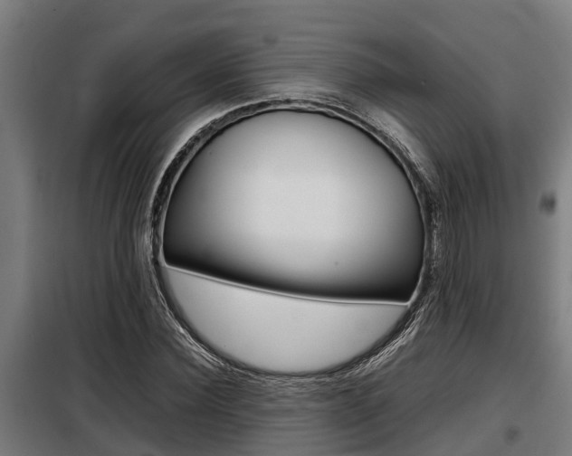X0000098070924200804040724