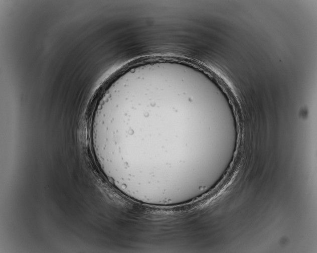 X0000098070925200804040724