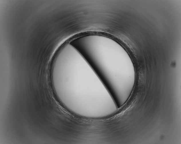 X0000098070926200804040724