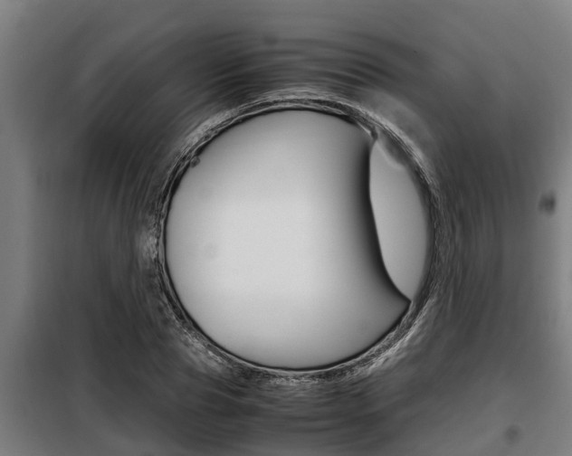X0000098070929200804040724