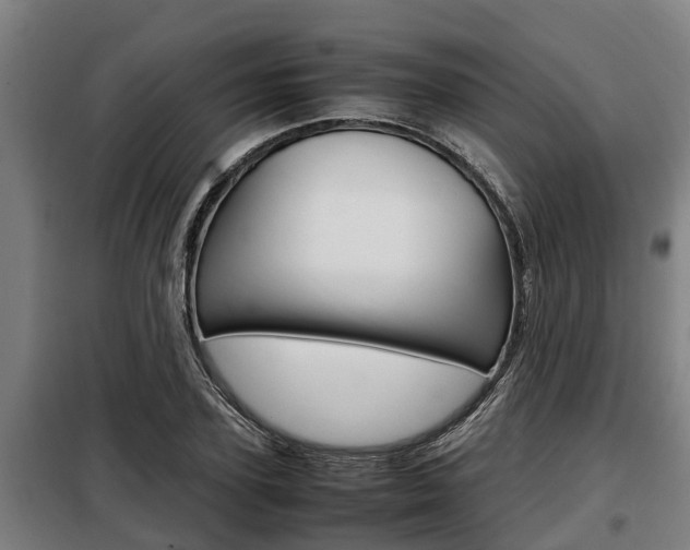 X0000098070931200804040724