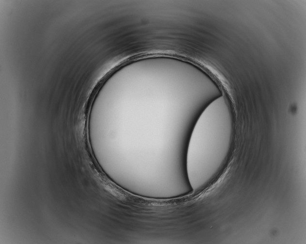 X0000098070933200804040724