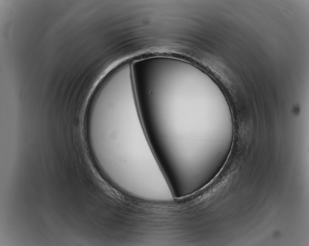 X0000098070934200804040724