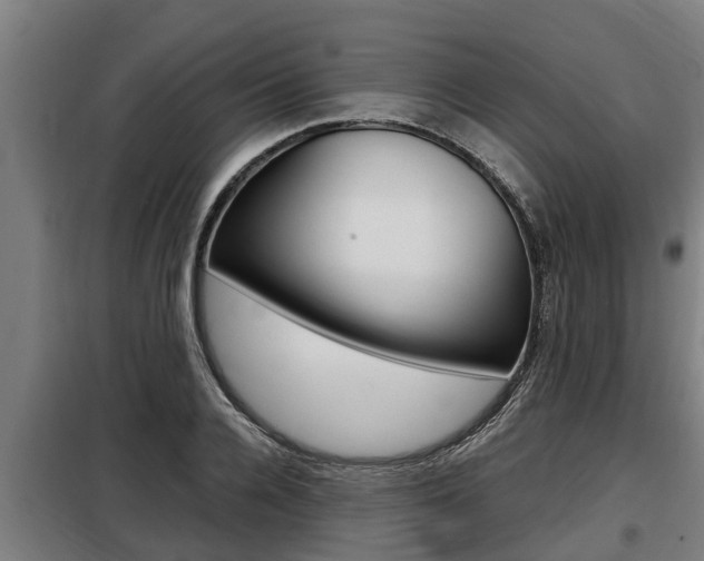 X0000098070936200804040724