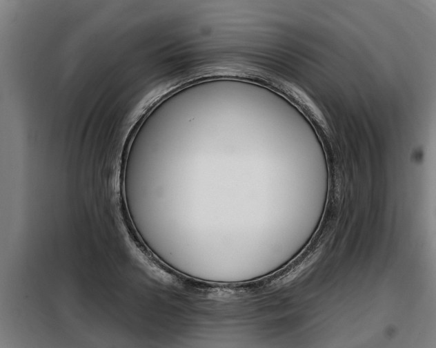 X0000098070938200804040724