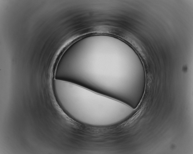 X0000098070939200804040724