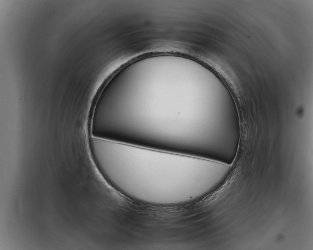 X0000098070943200804040724