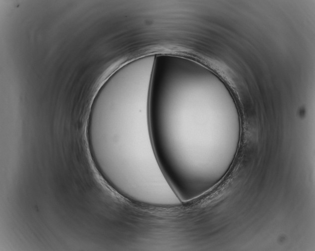 X0000098070946200804040724