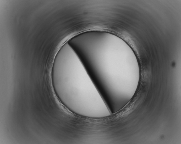 X0000098070954200804040724
