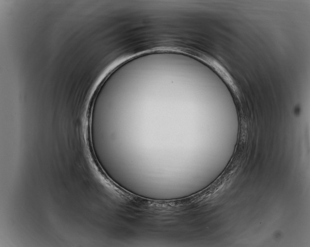 X0000098070955200804040724