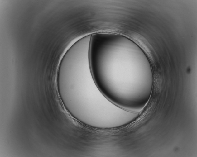 X0000098070956200804040724