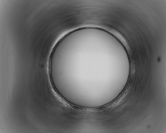 X0000098070958200804040724