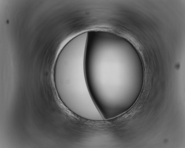 X0000098070960200804040724