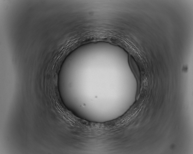 X0000098070961200804040724