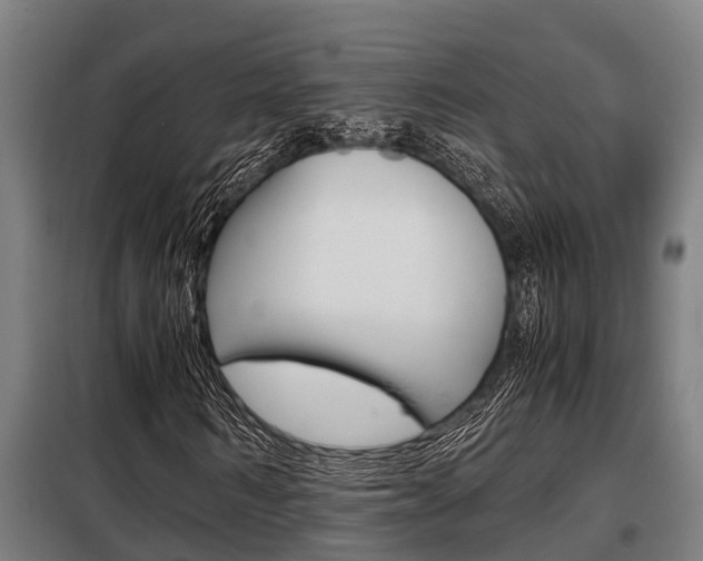 X0000098070962200804040724