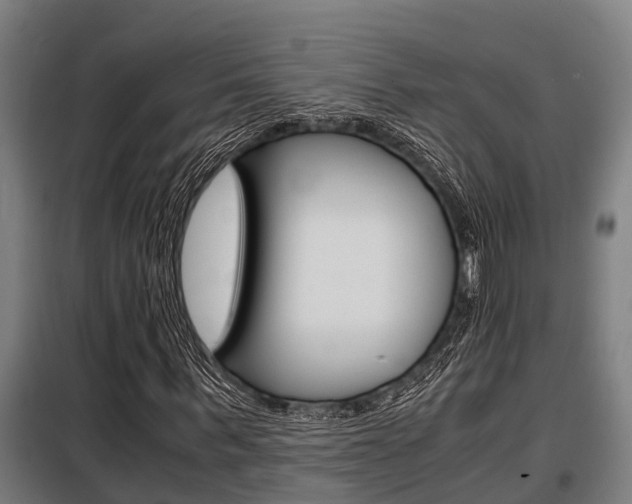 X0000098070963200804040724