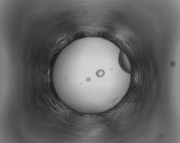 X0000098070964200804040724