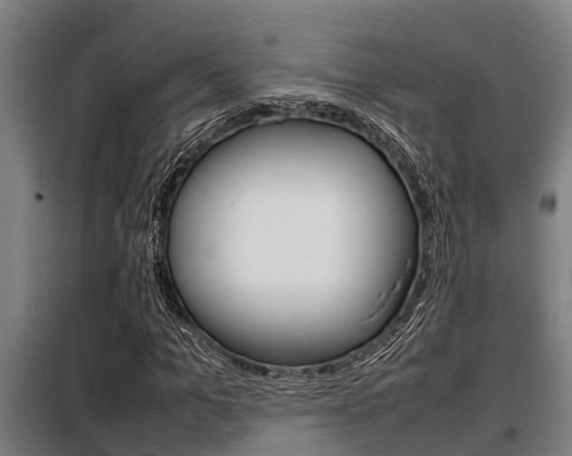 X0000098070965200804040724