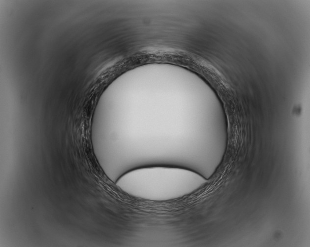 X0000098070966200804040724