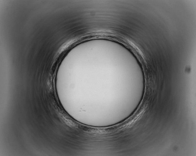 X0000098070970200804040724