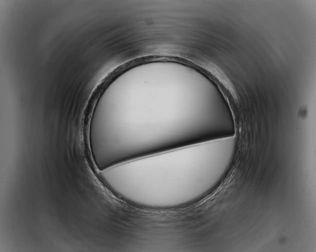 X0000098070972200804040724