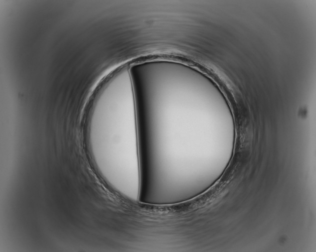 X0000098070975200804040723