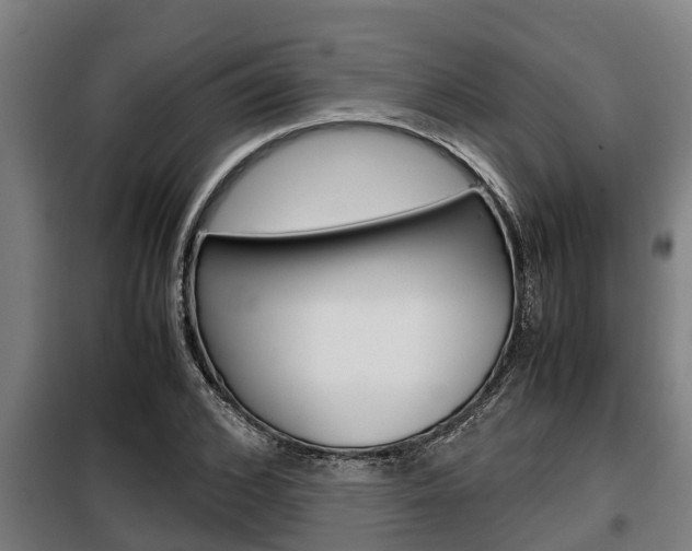X0000098070976200804040723