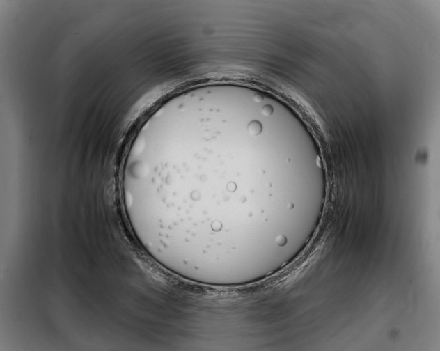 X0000098070978200804040723