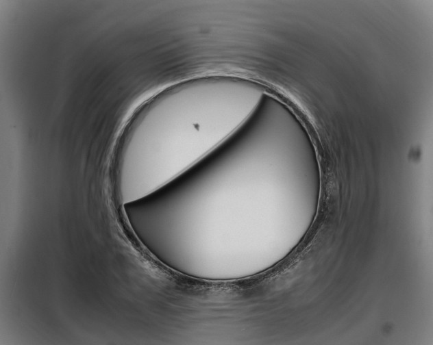 X0000098070979200804040723