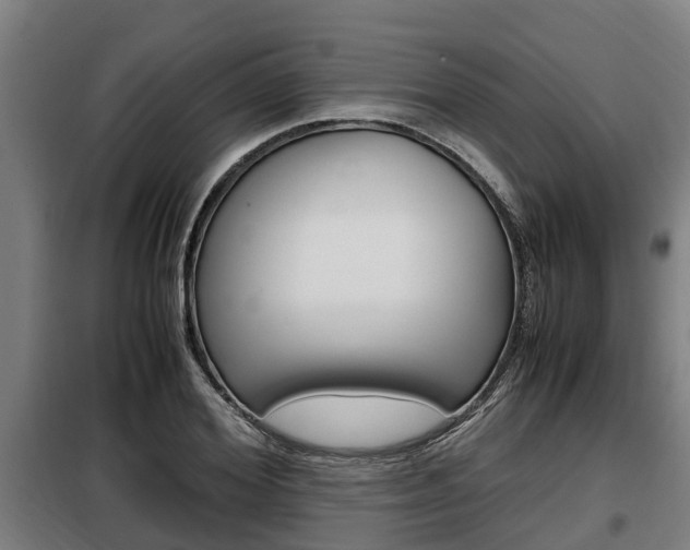 X0000098070980200804040723