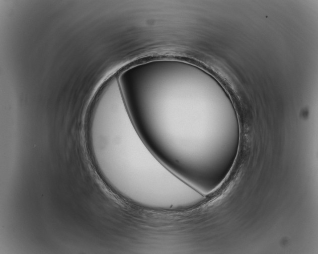 X0000098070981200804040723