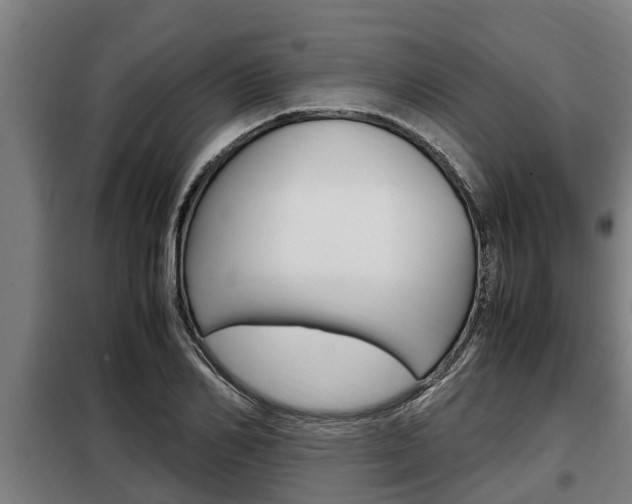X0000098070982200804040723