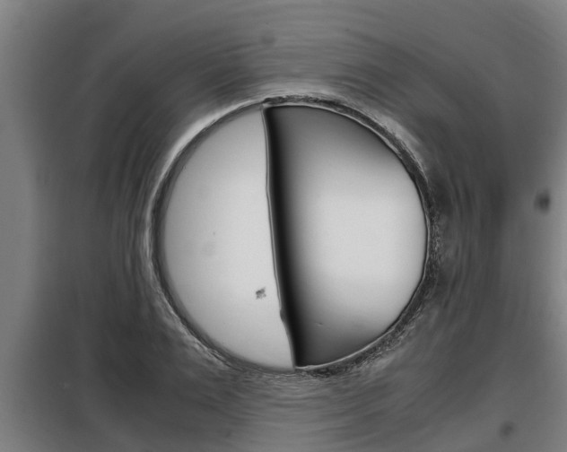 X0000098070983200804040723