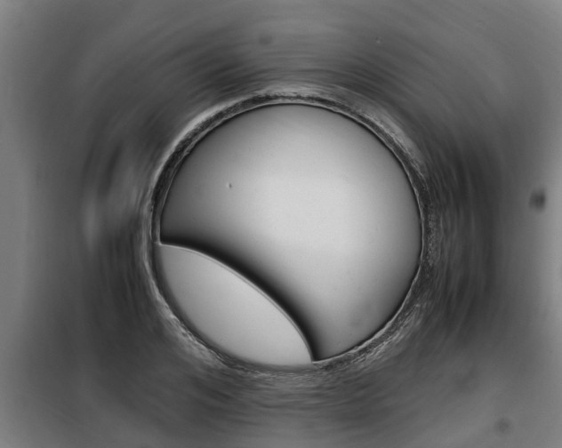 X0000098070984200804040723