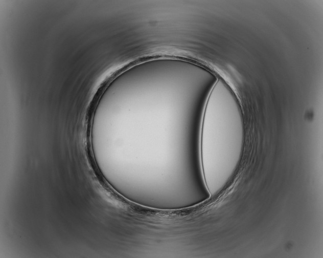 X0000098070987200804040723