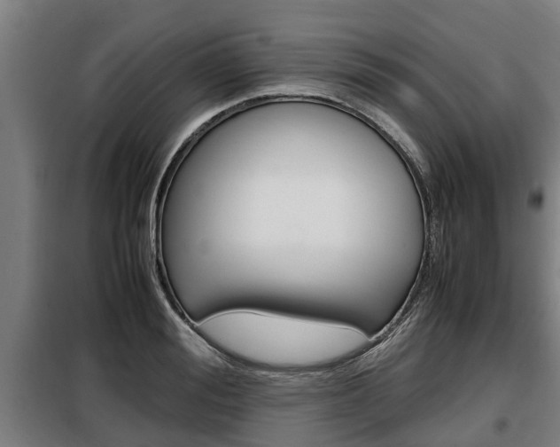 X0000098070988200804040723