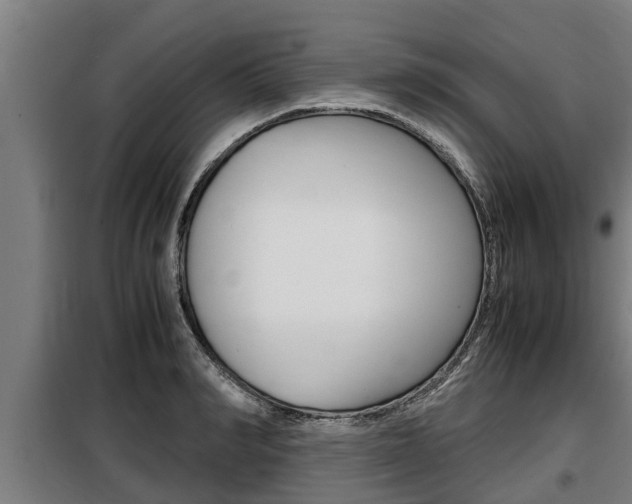 X0000098070990200804040723
