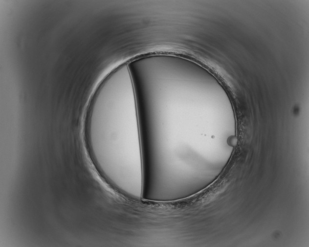X0000098070991200804040723