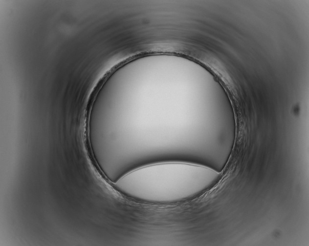 X0000098070992200804040723