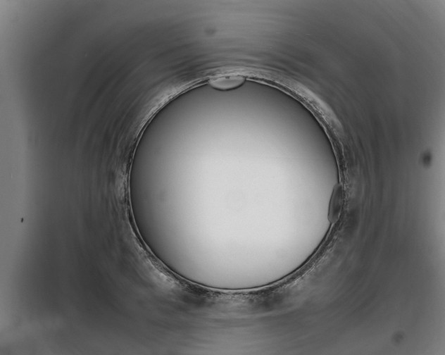 X0000098070993200804040723