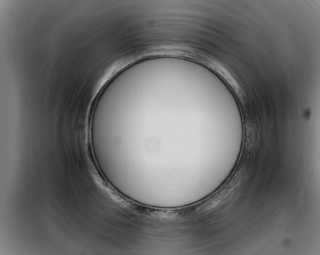 X0000098070994200804040723